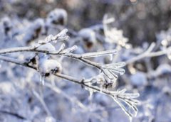 Krkonoše a Špindlerův Mlýn: Mrazivé noci drží sníh, zima nabídne ideální podmínky